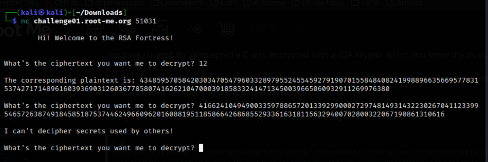 RSA Oracle
